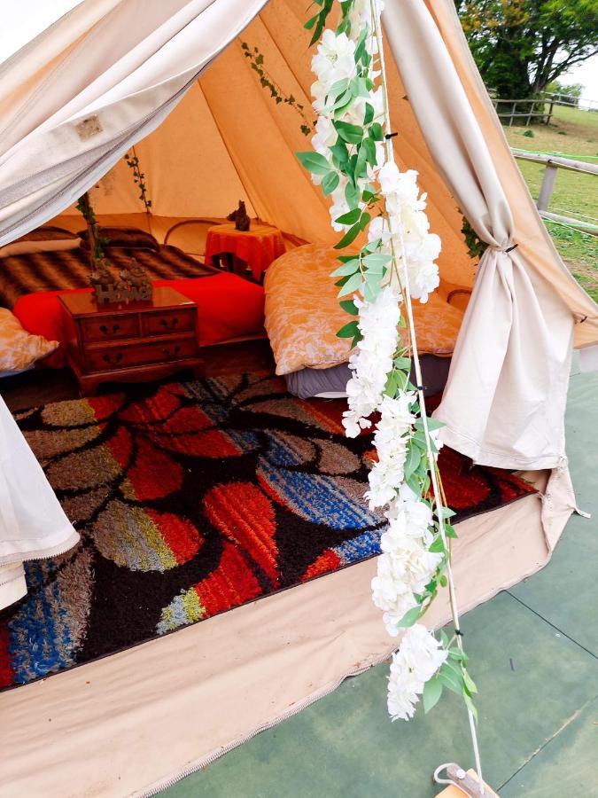 Walnut Tree Glamping Sturry Exterior photo